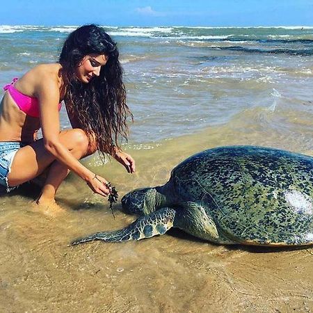 Turtle Bay Hotel Hikkaduwa Kültér fotó