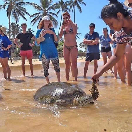 Turtle Bay Hotel Hikkaduwa Kültér fotó