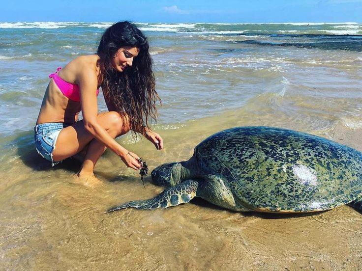 Turtle Bay Hotel Hikkaduwa Kültér fotó